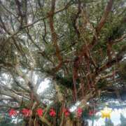 ヒメ日記 2025/12/11 23:20 投稿 志乃 谷町人妻ゴールデン倶楽部