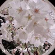 ヒメ日記 2026/04/10 13:21 投稿 涼宮まよ ESTE ALLURE