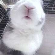 ヒメ日記 2025/10/25 08:17 投稿 みずき カルテDayShift（新宿）