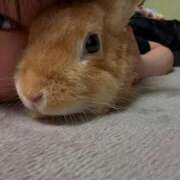 ヒメ日記 2025/09/06 15:15 投稿 マイ RING