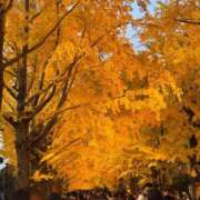 ヒメ日記 2025/11/19 19:41 投稿 翼(つばさ) モアグループ西川口人妻城