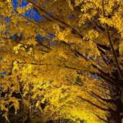 ヒメ日記 2025/11/24 07:15 投稿 翼(つばさ) モアグループ西川口人妻城