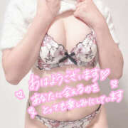 ヒメ日記 2025/12/11 16:10 投稿 はるひ プロフィール 京都店