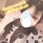 ヒメ日記 2026/02/26 11:58 投稿 はるひ プロフィール 京都店