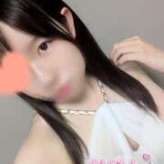 ヒメ日記 2025/06/04 18:15 投稿 かりん なでし娘