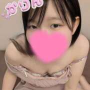 ヒメ日記 2025/06/26 00:10 投稿 かりん なでし娘