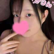 ヒメ日記 2025/07/07 08:01 投稿 かりん なでし娘