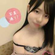 ヒメ日記 2025/07/19 20:21 投稿 かりん なでし娘