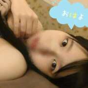 ヒメ日記 2025/07/20 08:01 投稿 かりん なでし娘