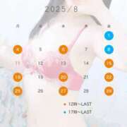 ヒメ日記 2025/07/31 14:30 投稿 かりん なでし娘