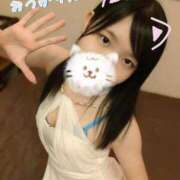 ヒメ日記 2025/08/07 00:02 投稿 かりん なでし娘