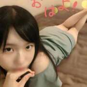 ヒメ日記 2025/08/19 07:45 投稿 かりん なでし娘