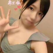 ヒメ日記 2025/08/20 14:03 投稿 かりん なでし娘