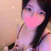 ヒメ日記 2025/08/29 01:46 投稿 かりん なでし娘