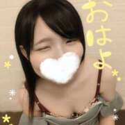 ヒメ日記 2025/09/14 07:30 投稿 かりん なでし娘