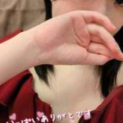 ヒメ日記 2025/11/30 01:49 投稿 かりん なでし娘