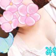 ヒメ日記 2025/08/15 10:26 投稿 みなも 丸妻 横浜本店