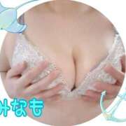 みなも みなも 丸妻 横浜本店