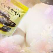 ヒメ日記 2025/06/08 20:18 投稿 りの 宮城大崎古川ちゃんこ