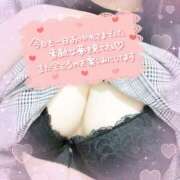 ヒメ日記 2025/07/05 00:48 投稿 りの 宮城大崎古川ちゃんこ