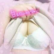 ヒメ日記 2025/07/27 19:21 投稿 りの 宮城大崎古川ちゃんこ