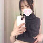 ヒメ日記 2025/06/11 00:22 投稿 こむぎ先生 クラスメイト