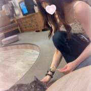 ヒメ日記 2025/08/02 15:30 投稿 こむぎ先生 クラスメイト