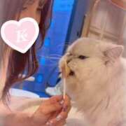 ヒメ日記 2025/08/09 13:59 投稿 こむぎ先生 クラスメイト