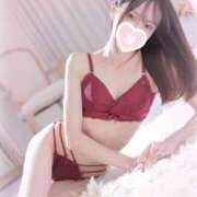 ヒメ日記 2025/12/20 16:37 投稿 こむぎ先生 クラスメイト