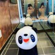 ヒメ日記 2025/10/18 10:57 投稿 渥美りょう Mrs. Dandy Shibuya