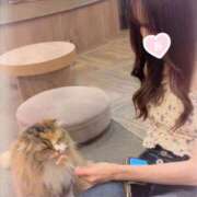 ヒメ日記 2025/08/22 12:17 投稿 こむぎ先生 美少女制服学園CLASSMATE　五反田校