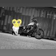 ヒメ日記 2025/11/03 07:31 投稿 渥美りょう Mrs. Dandy Yokohama