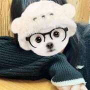 ヒメ日記 2025/12/09 17:02 投稿 すず 君とふわふわプリンセスin川越