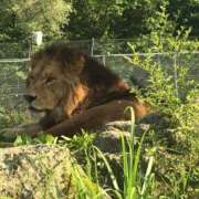 ヒメ日記 2026/02/17 16:18 投稿 みく PLEASURE