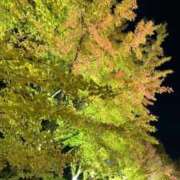 ヒメ日記 2025/11/22 14:29 投稿 なな Lesson.1 札幌校