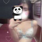 ヒメ日記 2026/04/03 17:33 投稿 なな Lesson.1 札幌校