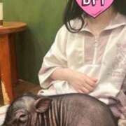 ヒメ日記 2025/09/19 23:31 投稿 れむ【FG系列】 フィーリングin横浜