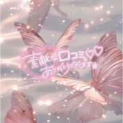 ヒメ日記 2025/08/09 22:40 投稿 れね 黒い金魚（札幌）