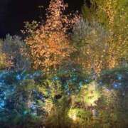 ヒメ日記 2025/11/18 19:31 投稿 かえで 五反田くぃーんず