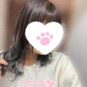 ヒメ日記 2025/10/19 08:30 投稿 しずく 美女のカタチ