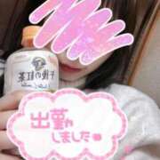 ヒメ日記 2025/11/11 08:16 投稿 しずく 美女のカタチ