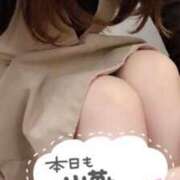 ヒメ日記 2025/11/28 08:16 投稿 しずく 美女のカタチ