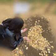 ヒメ日記 2025/12/07 13:16 投稿 しずく 美女のカタチ