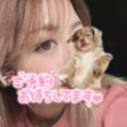 ヒメ日記 2025/11/10 10:06 投稿 りあ 千葉ミセスアロマ（ユメオト）