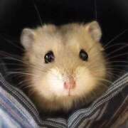 ヒメ日記 2025/12/09 20:33 投稿 りおん ニューグランド