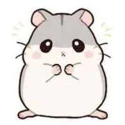 ヒメ日記 2025/12/10 12:23 投稿 りおん ニューグランド