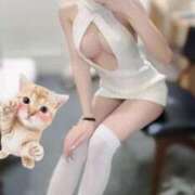 ヒメ日記 2025/09/27 11:59 投稿 天王寺まりあ JKリフレ東京 秋葉原本店