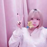 ヒメ日記 2025/12/02 19:08 投稿 乃亜（のあ） 今日、私はあなたの部下（マーベリックグループ）