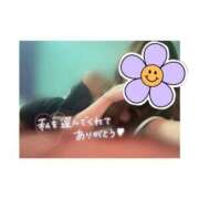 ヒメ日記 2025/09/04 08:34 投稿 一条 愛(あい)【愛濃い目。】 美魔女コレクション別府店