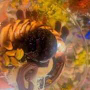 ヒメ日記 2025/09/29 13:34 投稿 一条 愛(あい)【愛濃い目。】 美魔女コレクション別府店